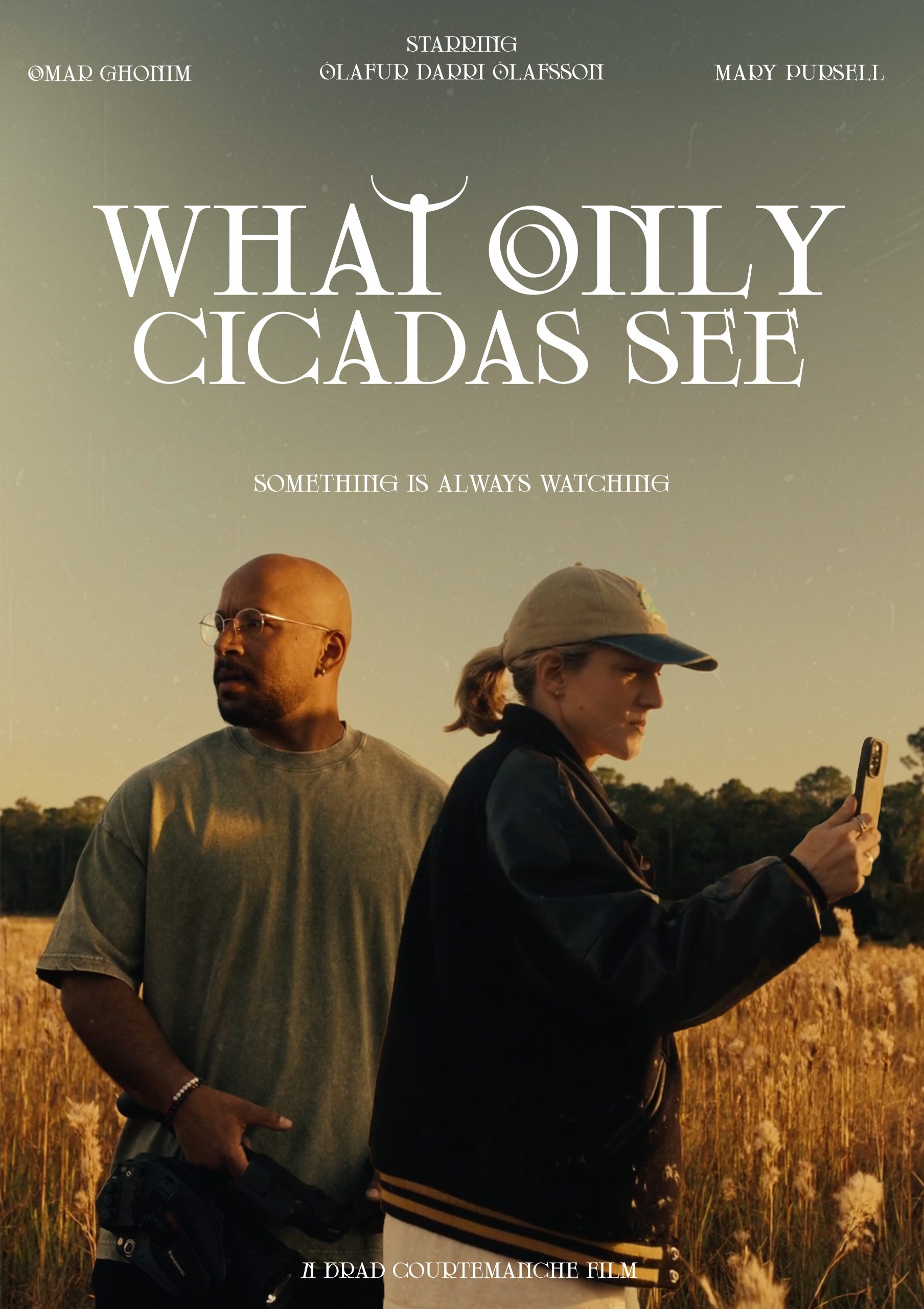 What Only Cicadas See